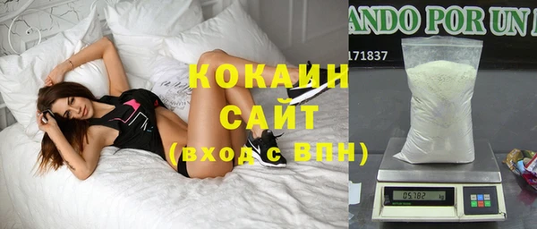 шишки Верхний Тагил