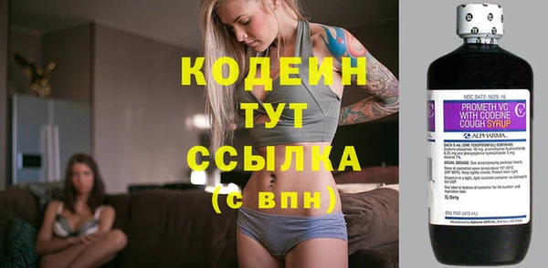 шишки Верхний Тагил