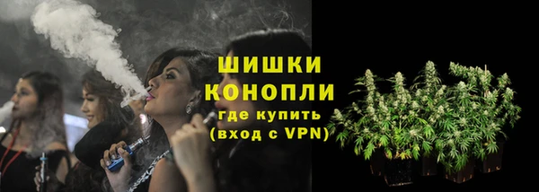 шишки Верхний Тагил