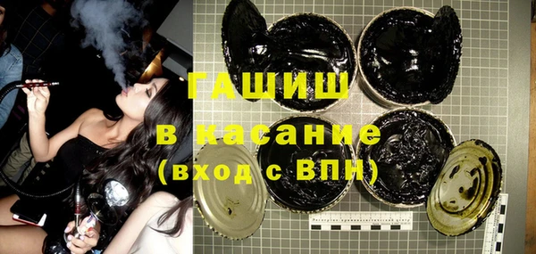 шишки Верхний Тагил