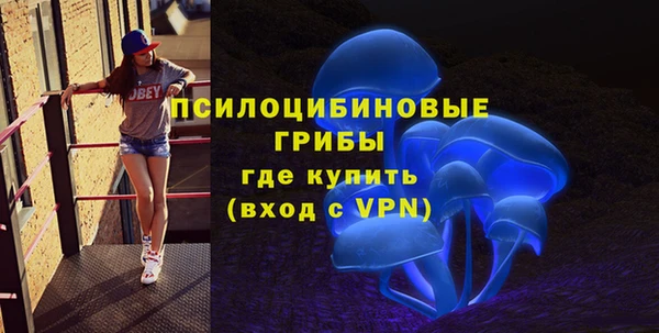 шишки Верхний Тагил