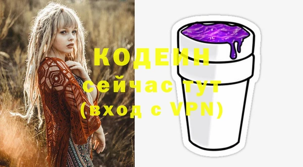 шишки Верхний Тагил