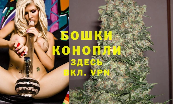 шишки Верхний Тагил