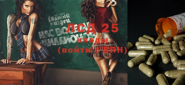 шишки Верхний Тагил